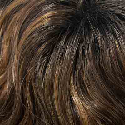 Eva Gabor Wig Color Dark Chocolate Mist