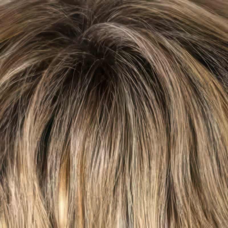 Eva Gabor Wig Color Dark Chocolate Mist
