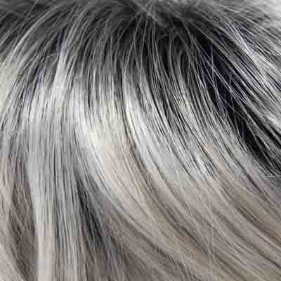 Eva Gabor Wig Color Dark Chocolate Mist