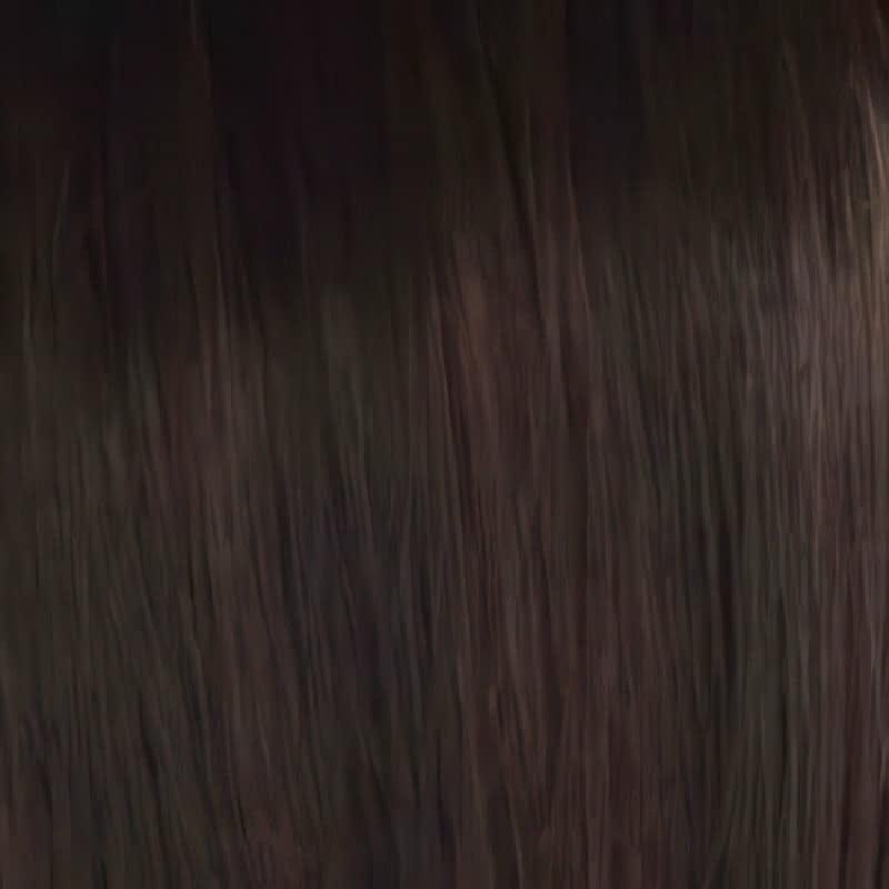 Eva Gabor Wig Color Dark Chocolate Mist
