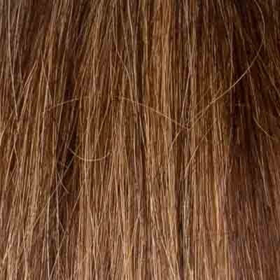 Eva Gabor Wig Color Dark Chocolate Mist