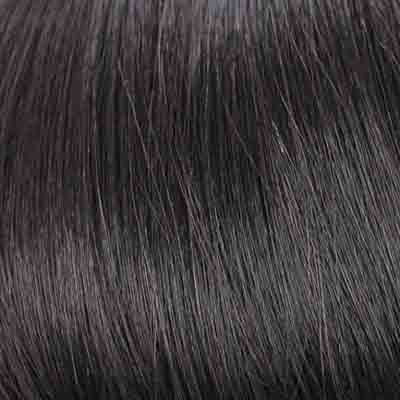 Eva Gabor Wig Color Dark Chocolate Mist