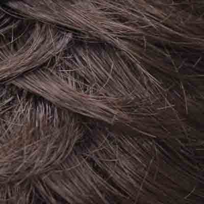 Eva Gabor Wig Color Dark Chocolate Mist