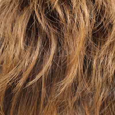 Eva Gabor Wig Color Dark Chocolate Mist