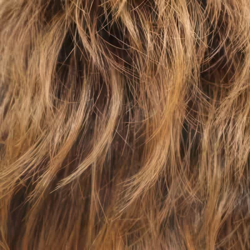 Eva Gabor Wig Color Dark Chocolate Mist