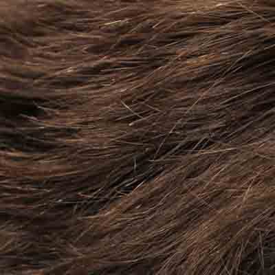 Eva Gabor Wig Color Dark Chocolate Mist