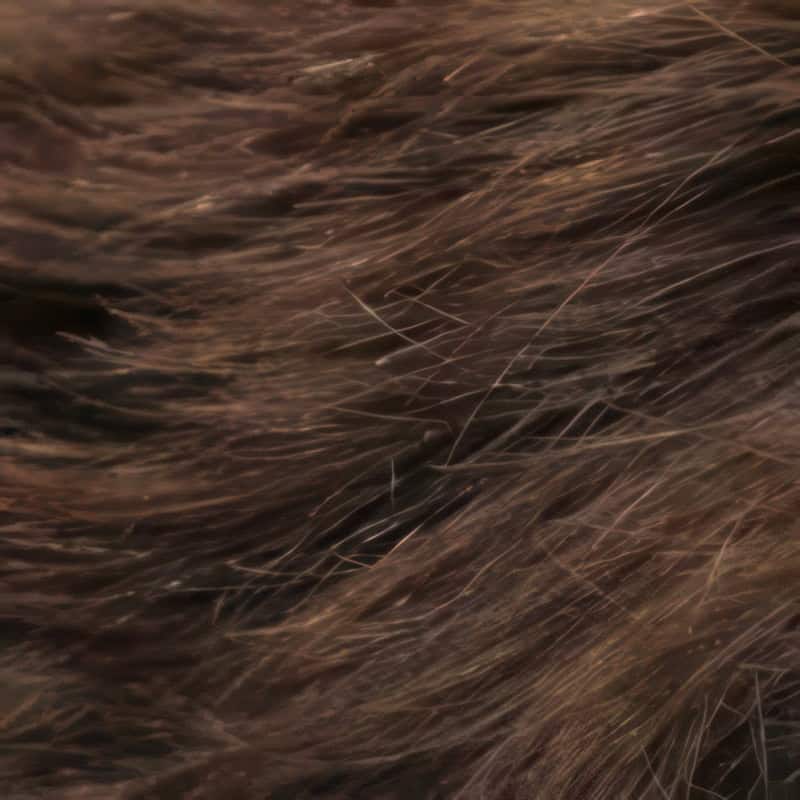 Eva Gabor Wig Color Dark Chocolate Mist