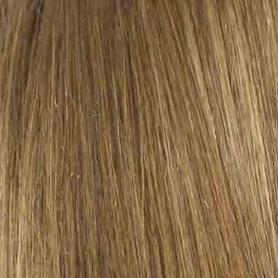 Eva Gabor Wig Color Dark Chocolate Mist