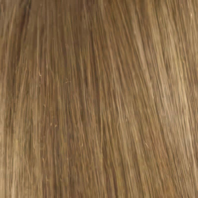 Eva Gabor Wig Color Dark Chocolate Mist