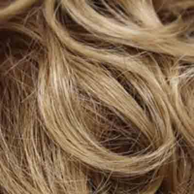 Eva Gabor Wig Color Dark Chocolate Mist