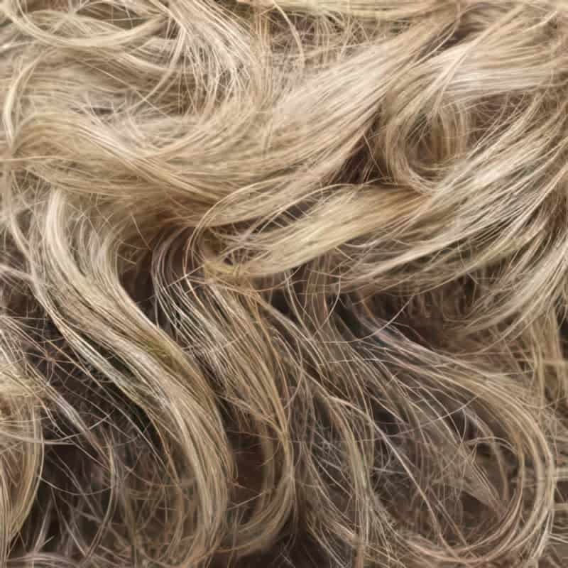 Eva Gabor Wig Color Dark Chocolate Mist