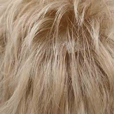 Eva Gabor Wig Color Dark Chocolate Mist