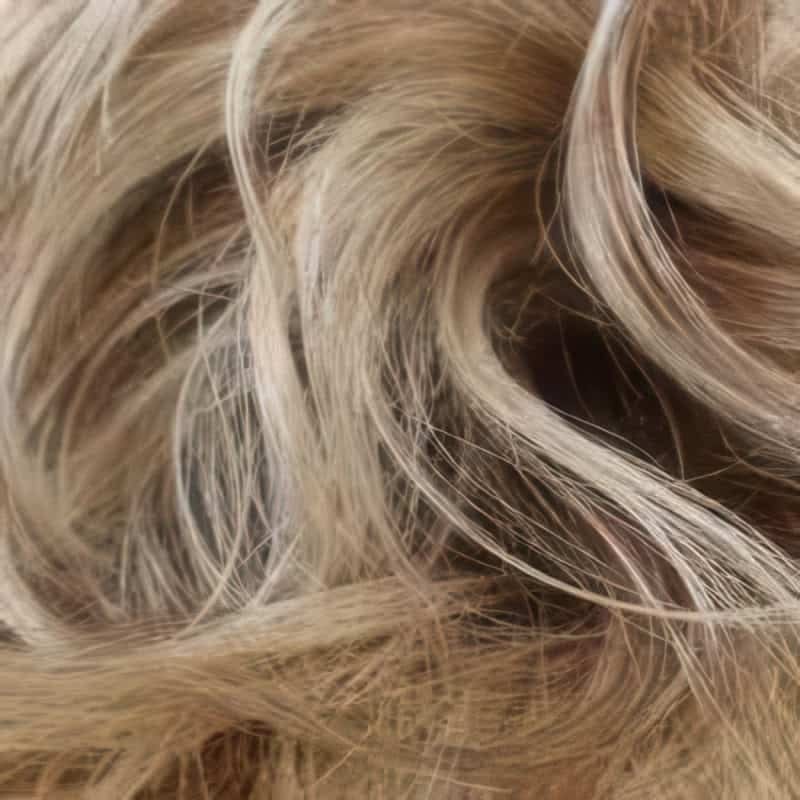 Eva Gabor Wig Color Dark Chocolate Mist