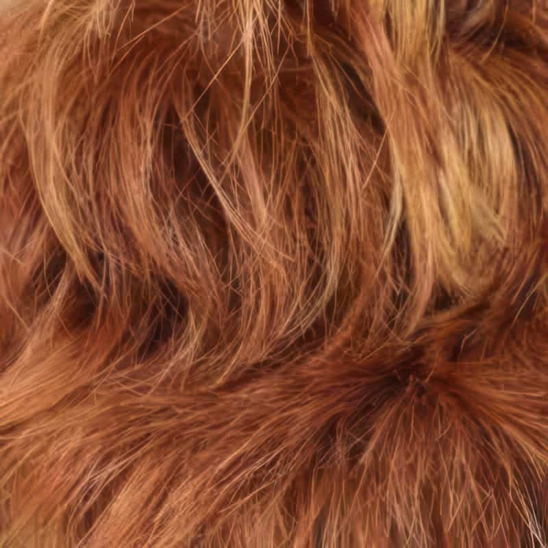 Eva Gabor Wig Color Dark Chocolate Mist