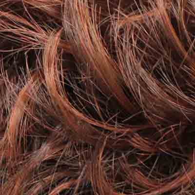 Eva Gabor Wig Color Dark Chocolate Mist