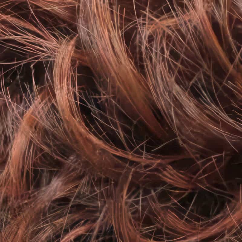 Eva Gabor Wig Color Dark Chocolate Mist