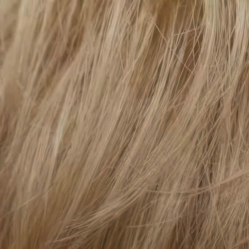 Eva Gabor Wig Color Dark Chocolate Mist