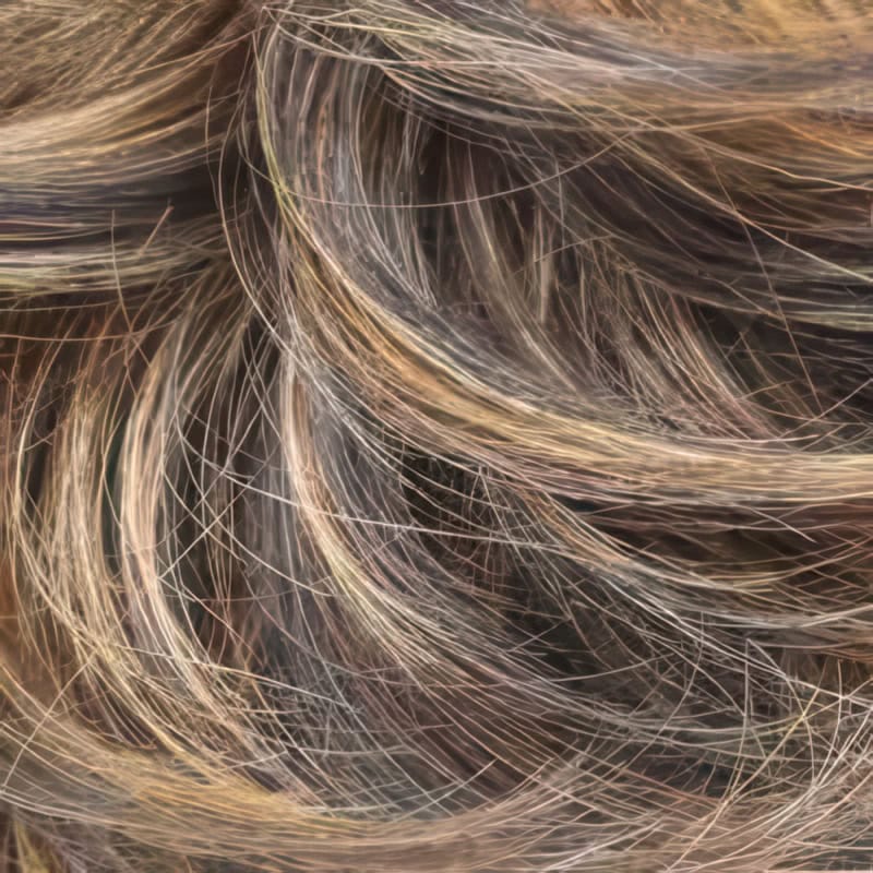 Eva Gabor Wig Color Dark Chocolate Mist
