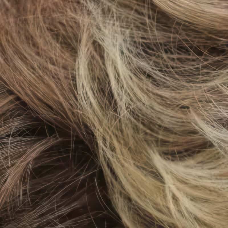 Eva Gabor Wig Color Dark Chocolate Mist