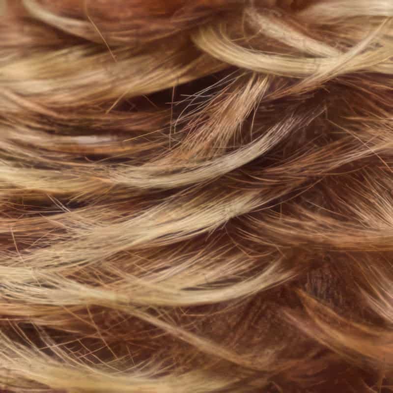 Eva Gabor Wig Color Dark Chocolate Mist