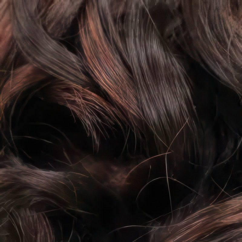 Eva Gabor Wig Color Dark Chocolate Mist