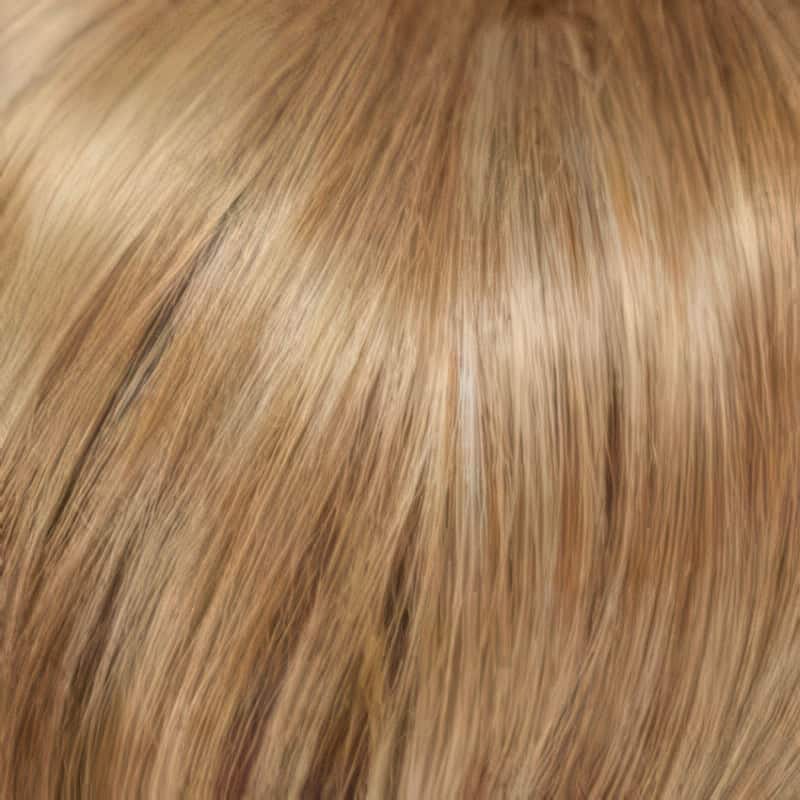Eva Gabor Wig Color Dark Chocolate Mist