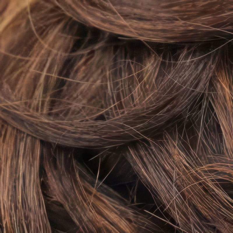 Eva Gabor Wig Color Dark Chocolate Mist