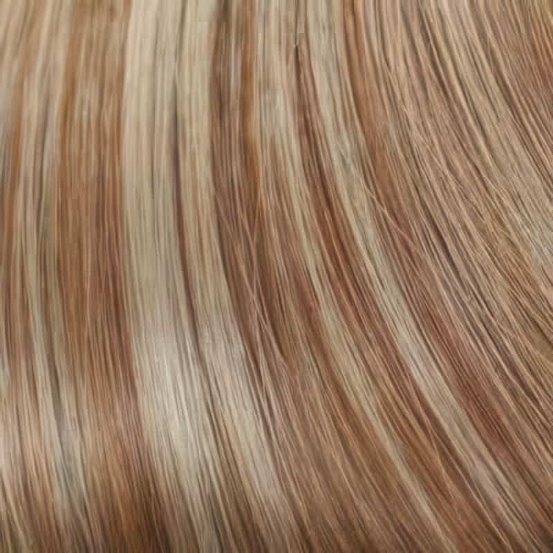 Eva Gabor Wig Color Dark Chocolate Mist