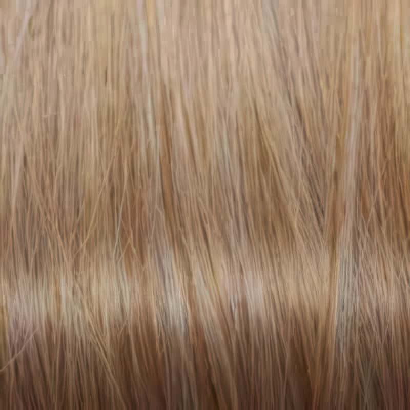 Eva Gabor Wig Color Dark Chocolate Mist