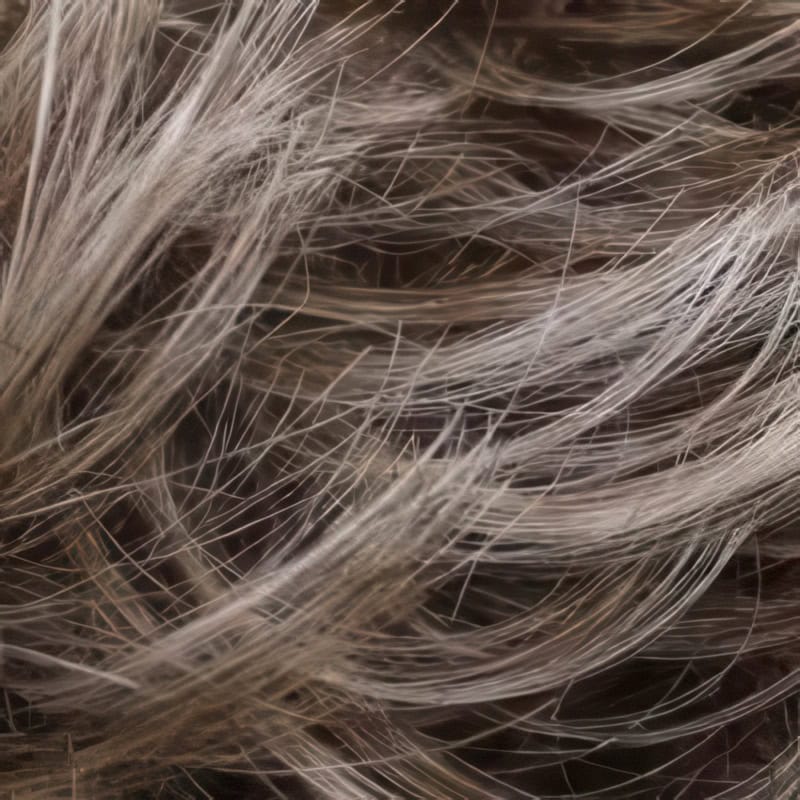 Eva Gabor Wig Color Dark Chocolate Mist