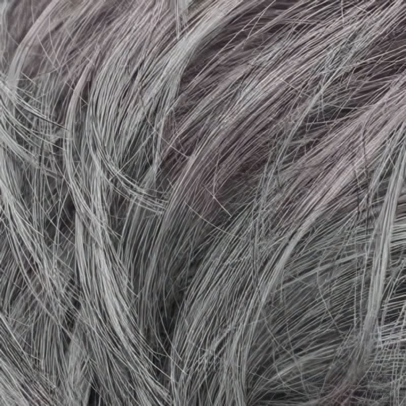 Eva Gabor Wig Color Dark Chocolate Mist