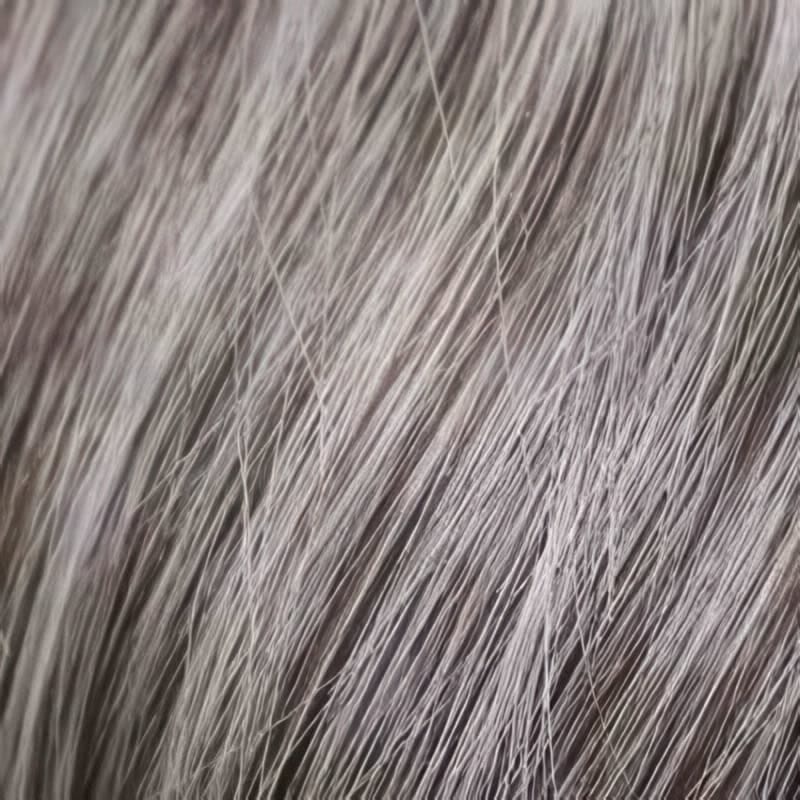 Eva Gabor Wig Color Dark Chocolate Mist