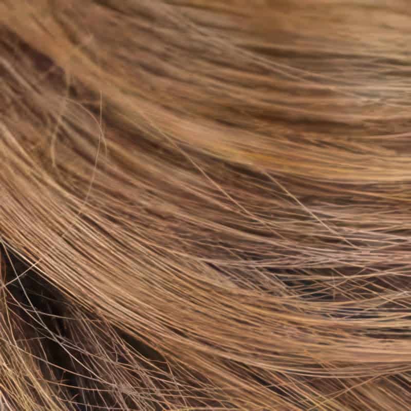 Eva Gabor Wig Color Dark Chocolate Mist