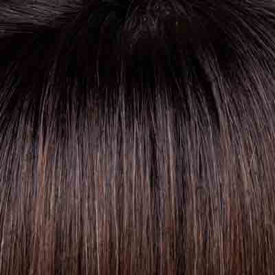 Eva Gabor Wig Color Dark Chocolate Mist