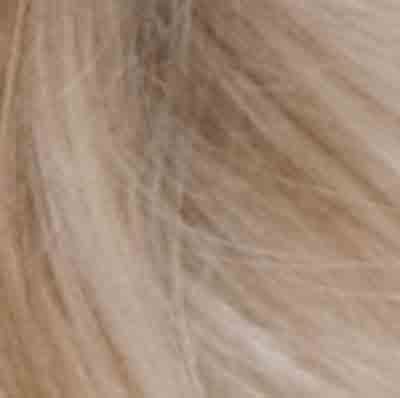 Eva Gabor Wig Color Dark Chocolate Mist