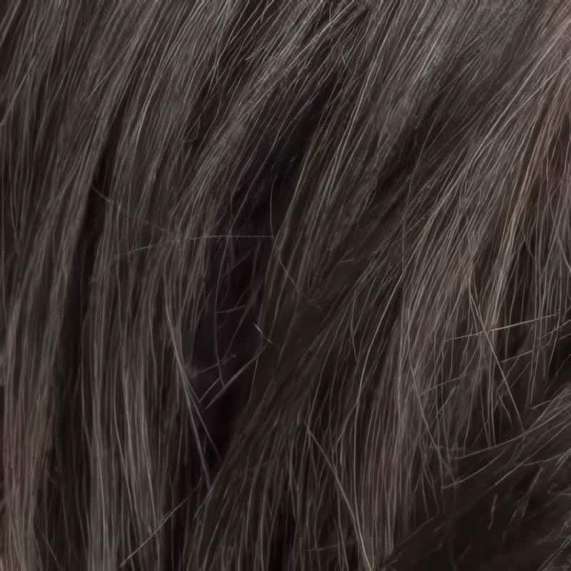 Eva Gabor Wig Color Dark Chocolate Mist