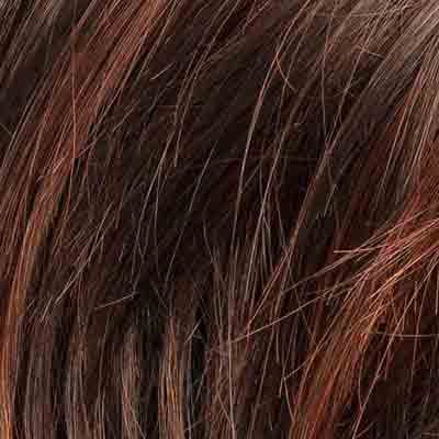 Eva Gabor Wig Color Dark Chocolate Mist