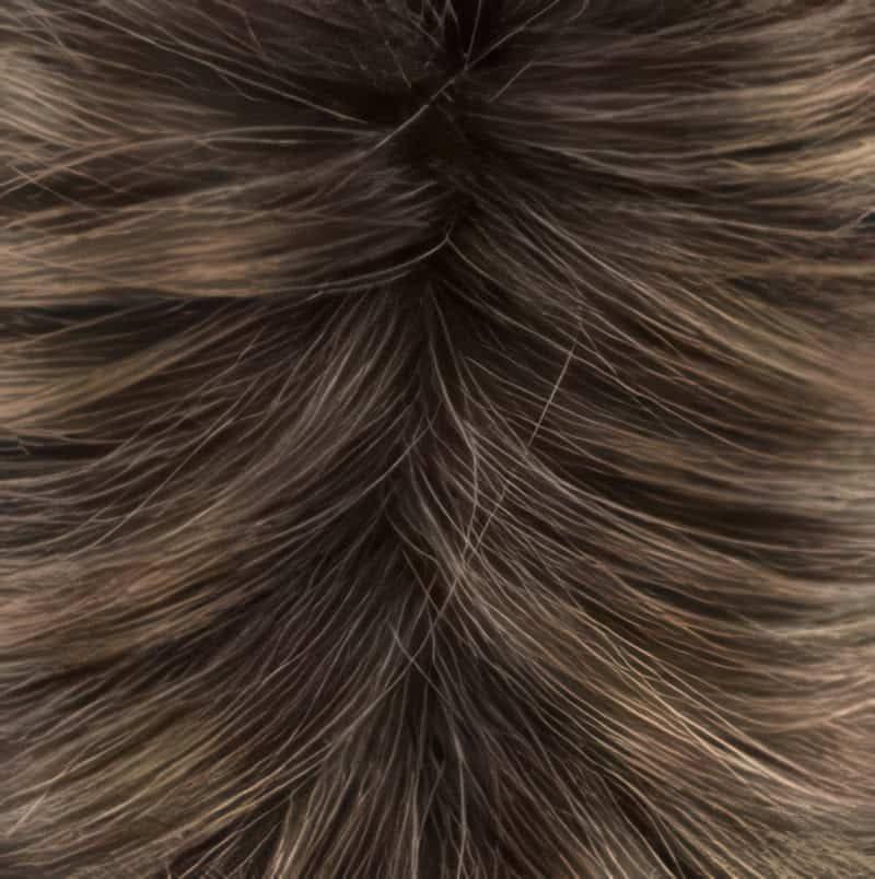 Eva Gabor Wig Color Dark Chocolate Mist