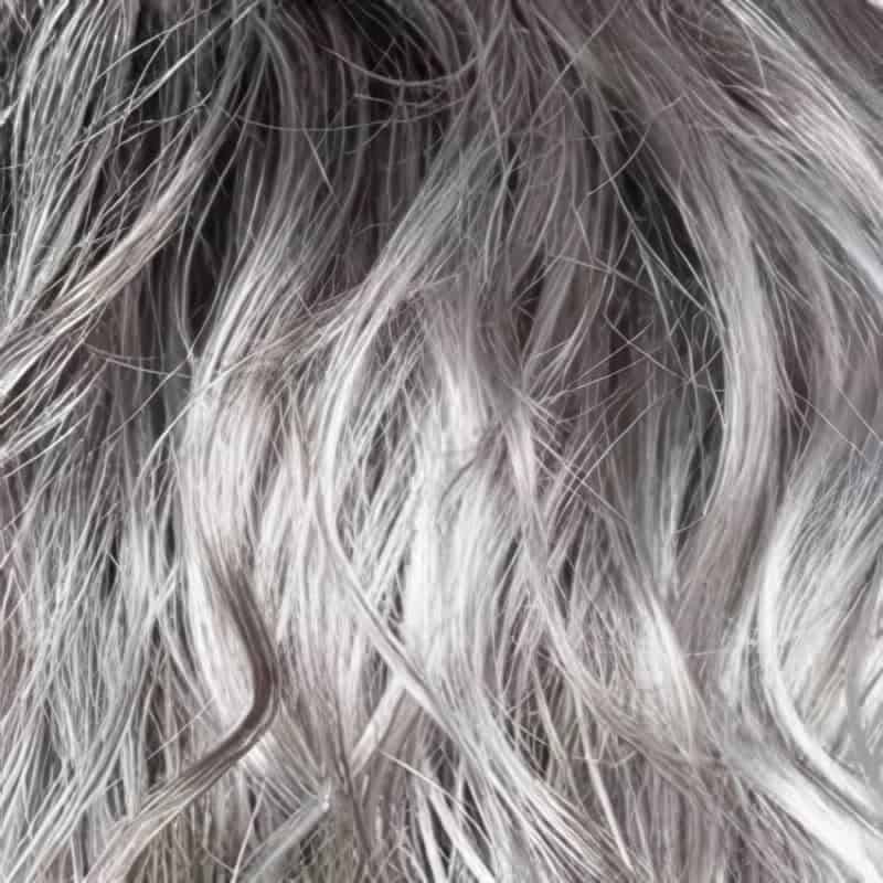 Eva Gabor Wig Color Dark Chocolate Mist