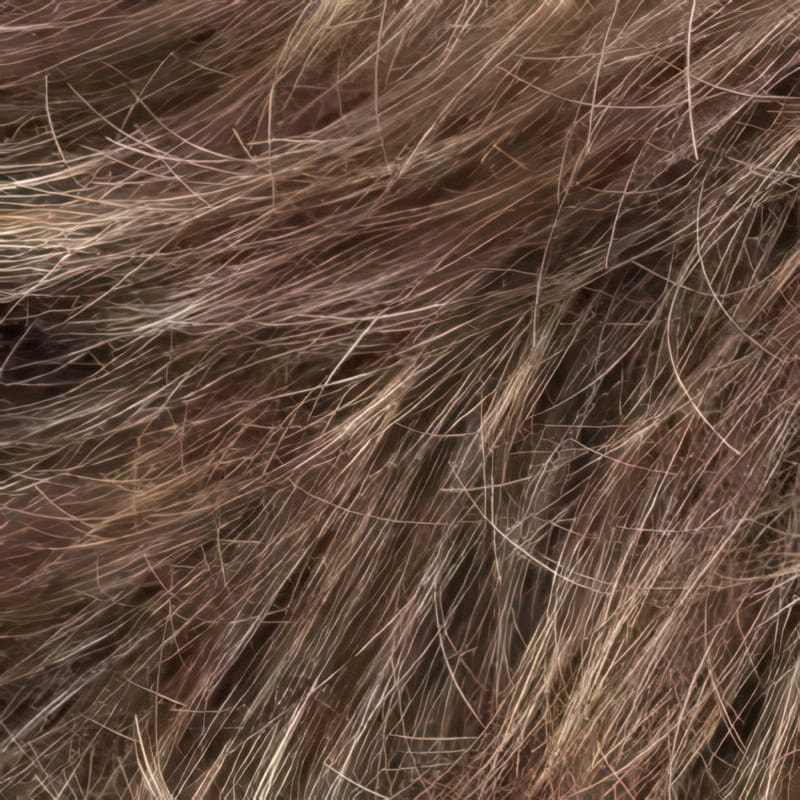 Eva Gabor Wig Color Dark Chocolate Mist
