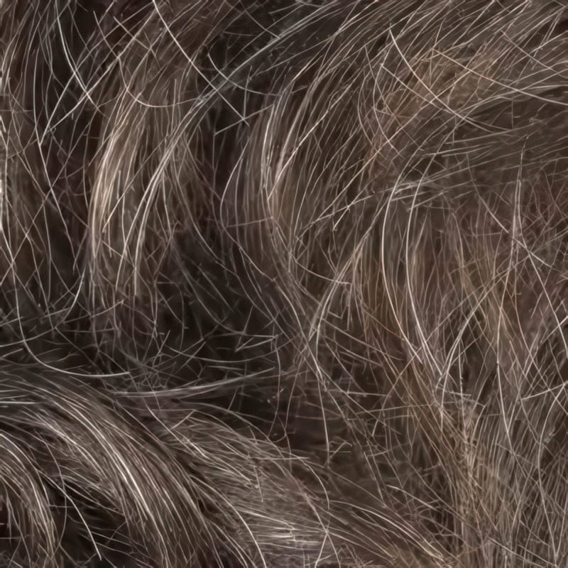 Eva Gabor Wig Color Dark Chocolate Mist