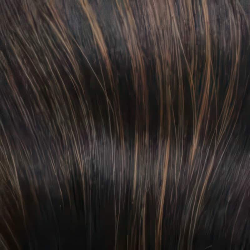 Eva Gabor Wig Color Dark Chocolate Mist