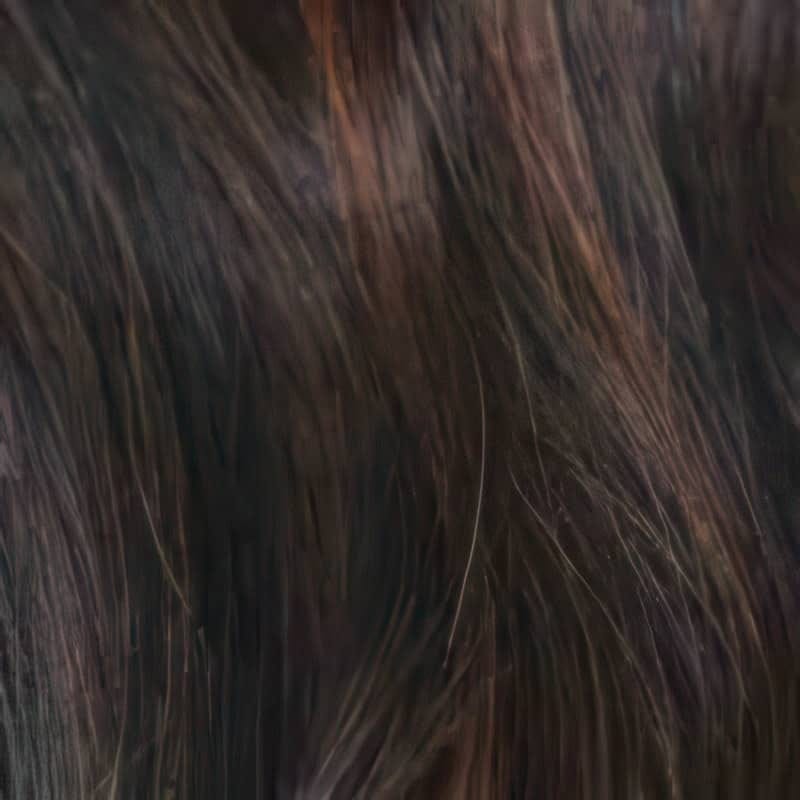Eva Gabor Wig Color Dark Chocolate Mist