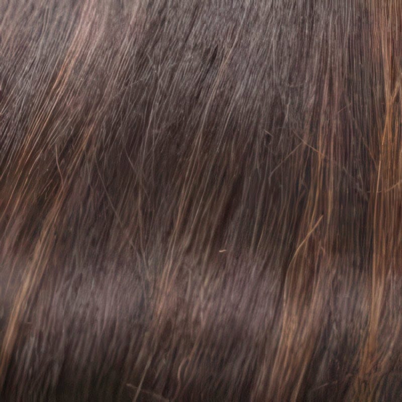 Eva Gabor Wig Color Dark Chocolate Mist