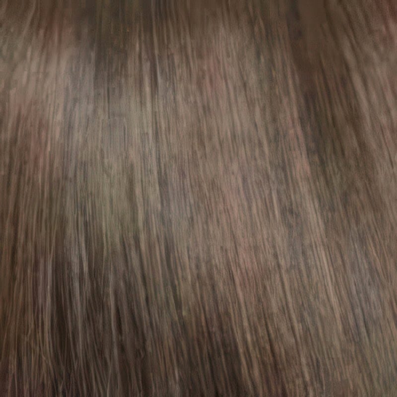 Eva Gabor Wig Color Dark Chocolate Mist