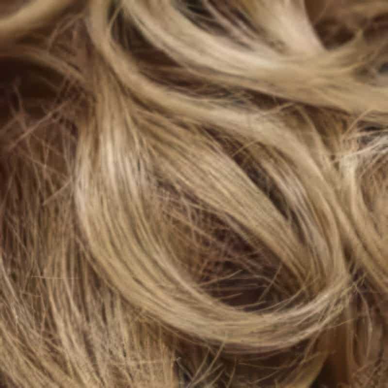 Eva Gabor Wig Color Dark Chocolate Mist