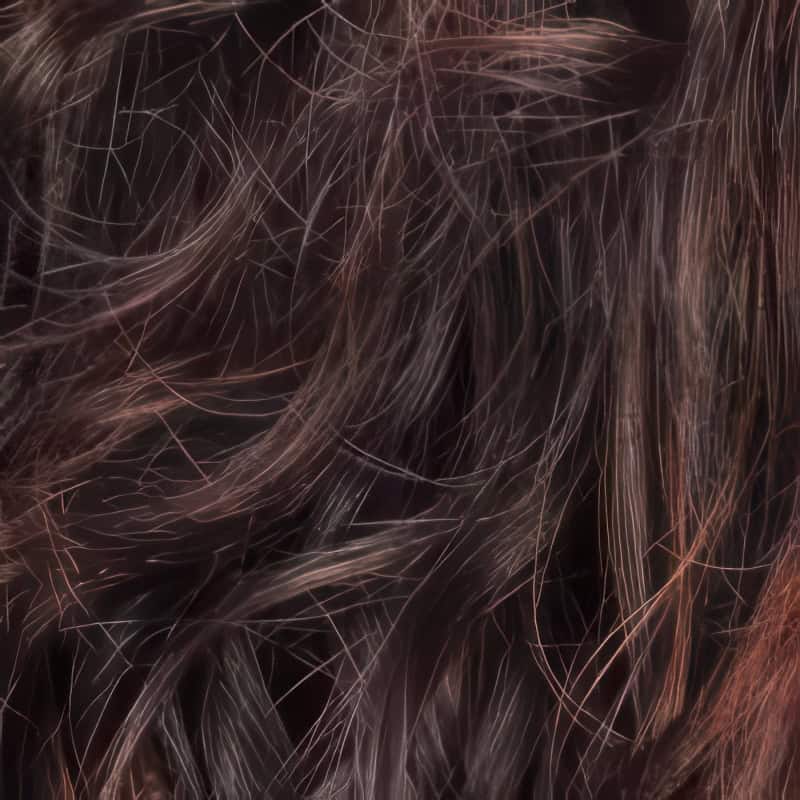 Eva Gabor Wig Color Dark Chocolate Mist