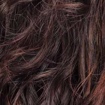 Eva Gabor Wig Color Dark Chocolate Mist