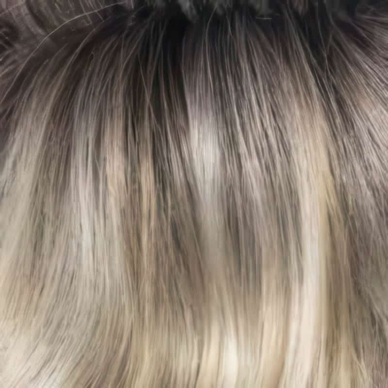 Eva Gabor Wig Color Dark Chocolate Mist