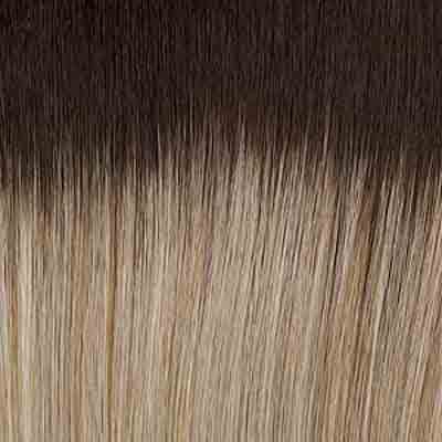 Eva Gabor Wig Color Dark Chocolate Mist